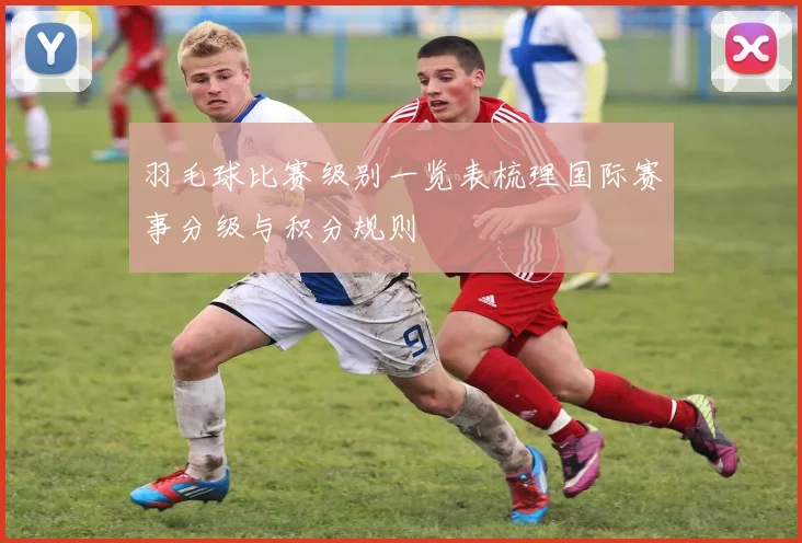 羽毛球比赛级别一览表梳理国际赛事分级与积分规则