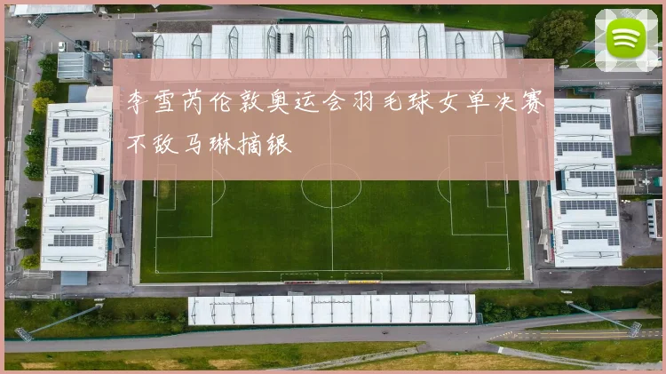 李雪芮伦敦奥运会羽毛球女单决赛不敌马琳摘银
