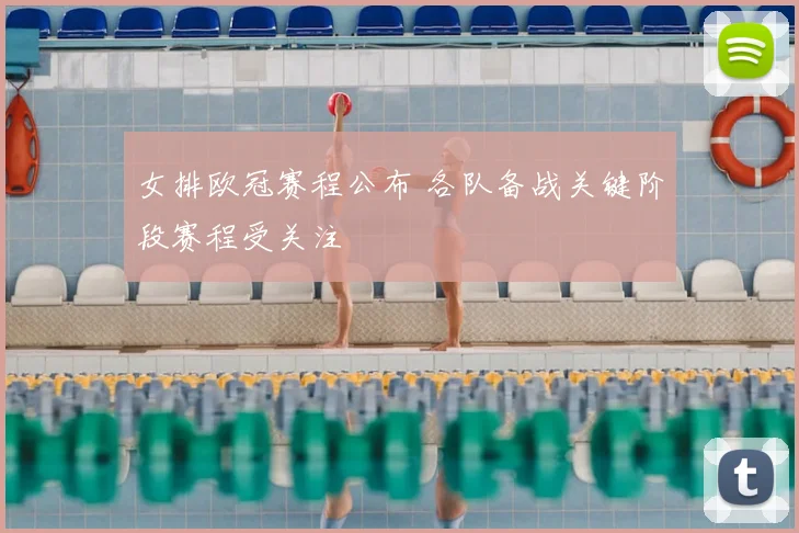女排欧冠赛程公布 各队备战关键阶段赛程受关注