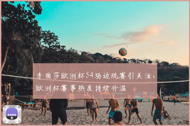李丽莎欧洲杯54场边观赛引关注,欧洲杯赛事热度持续升温