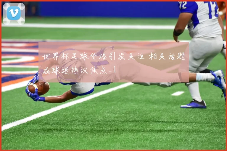世界杯足球价格引发关注 相关话题成球迷热议焦点_1