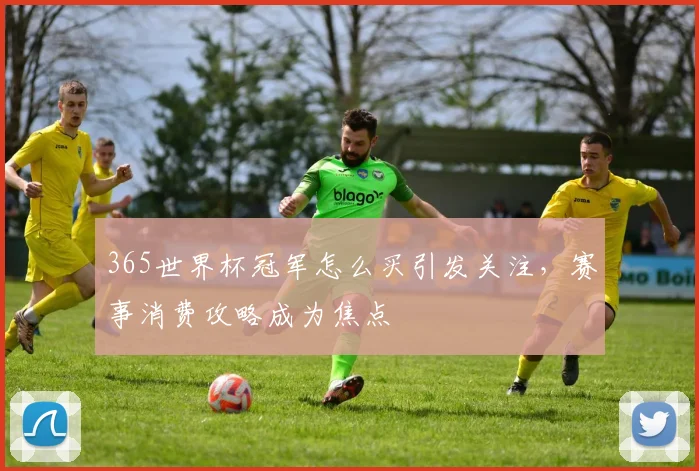 365世界杯冠军怎么买引发关注，赛事消费攻略成为焦点