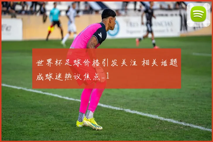 世界杯足球价格引发关注 相关话题成球迷热议焦点_1