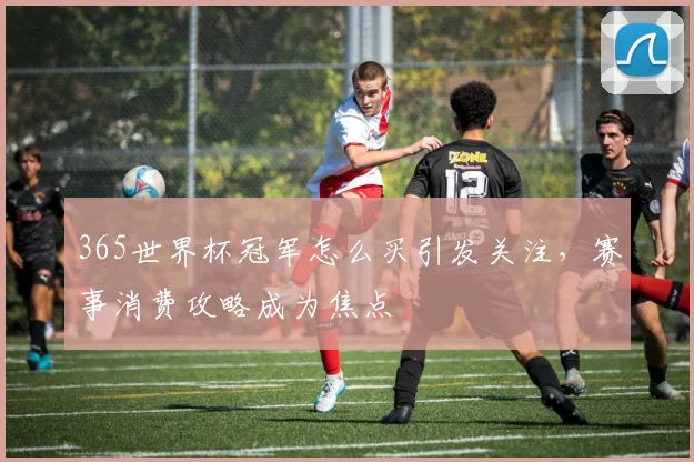 365世界杯冠军怎么买引发关注,赛事消费攻略成为焦点